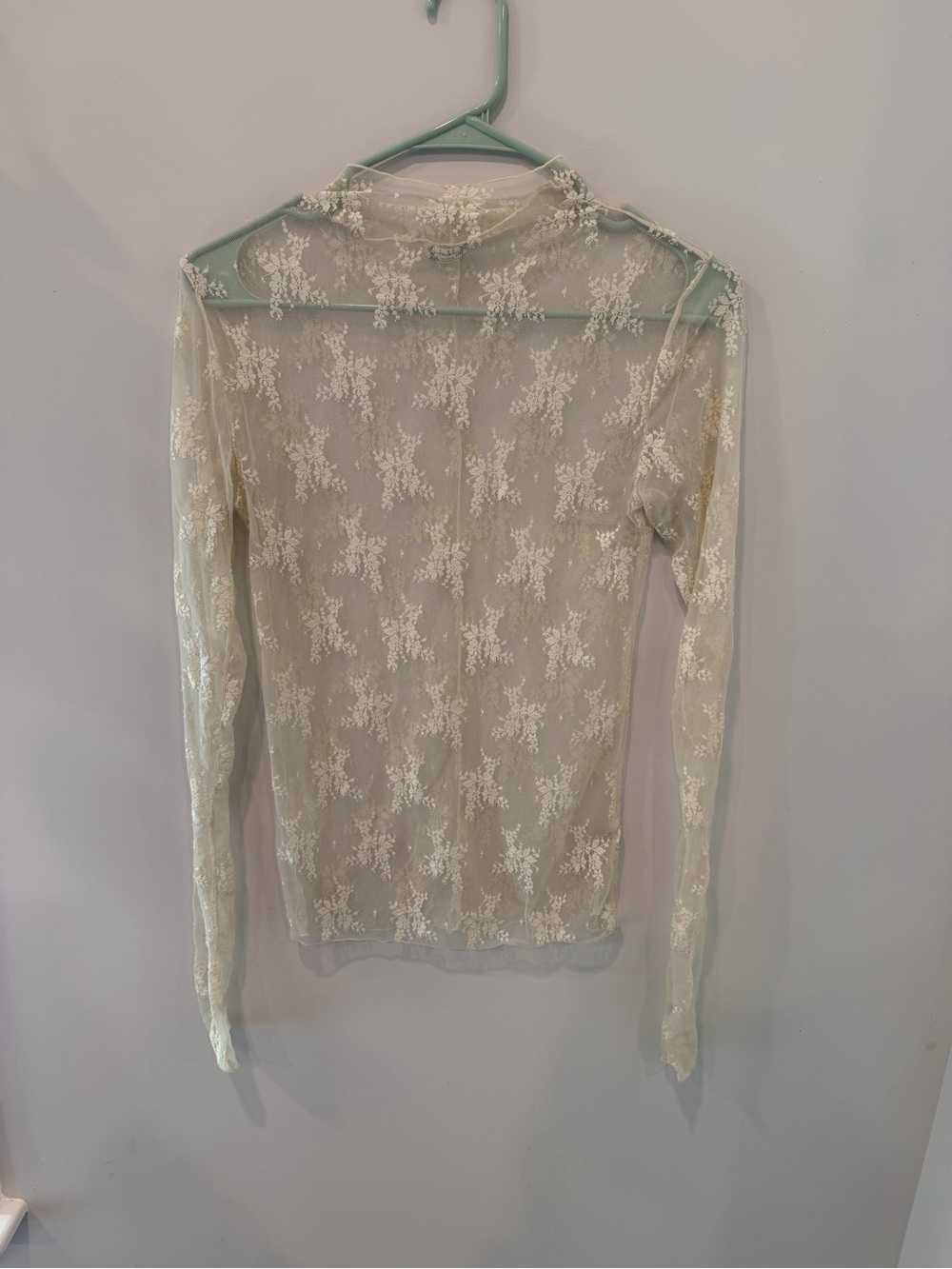 Free People Sheer Lace Long Sleeve Top in Cream